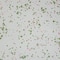 Hello Honey® 10.5" Mint & Pink Splatter Enameled Metal Platter